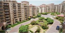 3+1 Bhk Luxurious Apartment On Lease In Beverly Park - I